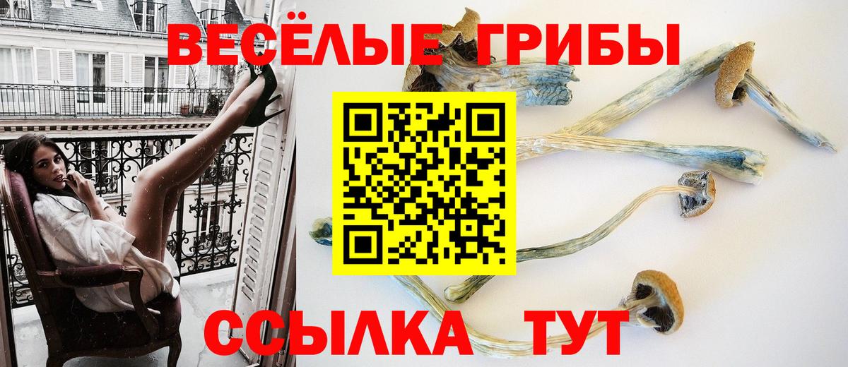 Псилоцибиновые грибы MAGIC MUSHROOMS Балашов