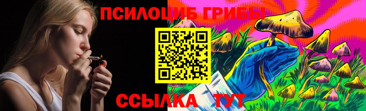 цена   Вход с VPN  Галлюциногенные грибы Cubensis  Балашов  Галлюциногенные грибы Magic Shrooms 